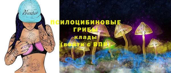 ECSTASY Аркадак