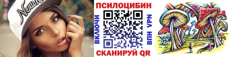 Псилоцибиновые грибы Cubensis Карасук